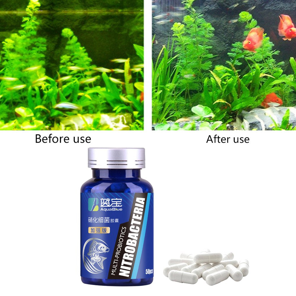 HOTYA 50Pcs/Bottle Aquarium Nitrifying Bacteria Concentrated Capsule Fish Tank Pond Cleaning Fresh Water Supplies Animals & Pet Supplies > Pet Supplies > Fish Supplies > Aquarium Cleaning Supplies HOTYA   