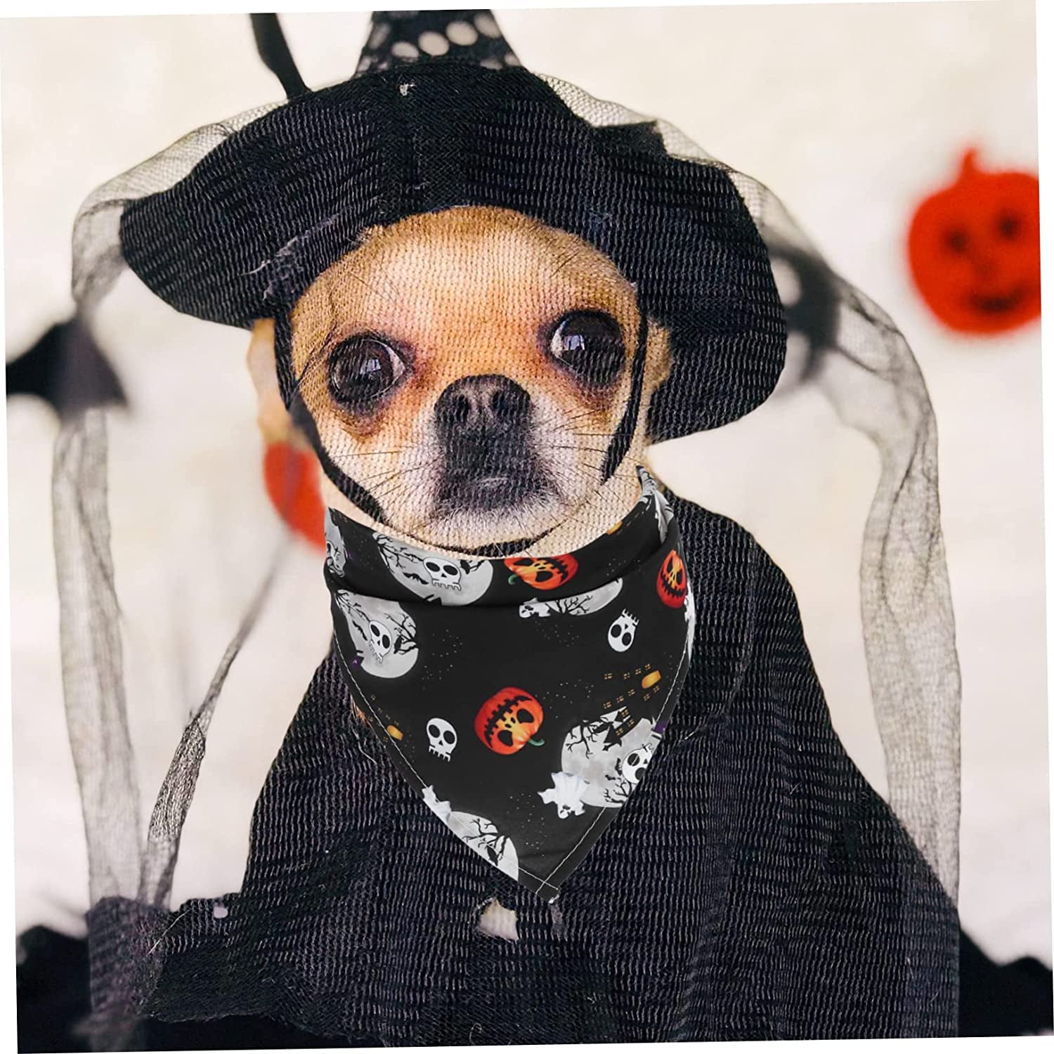 BCOATH 2 Pcs Pet Bib Cosplay Accessories Ghost Towel Pumpkin Cat Scarf Kitten Triangle Bibs Triangle Dog Necktie Dog Kerchief Washable Neckerchief Dog Bandanas Collar Polyester Bibs Animals & Pet Supplies > Pet Supplies > Dog Supplies > Dog Apparel BCOATH   