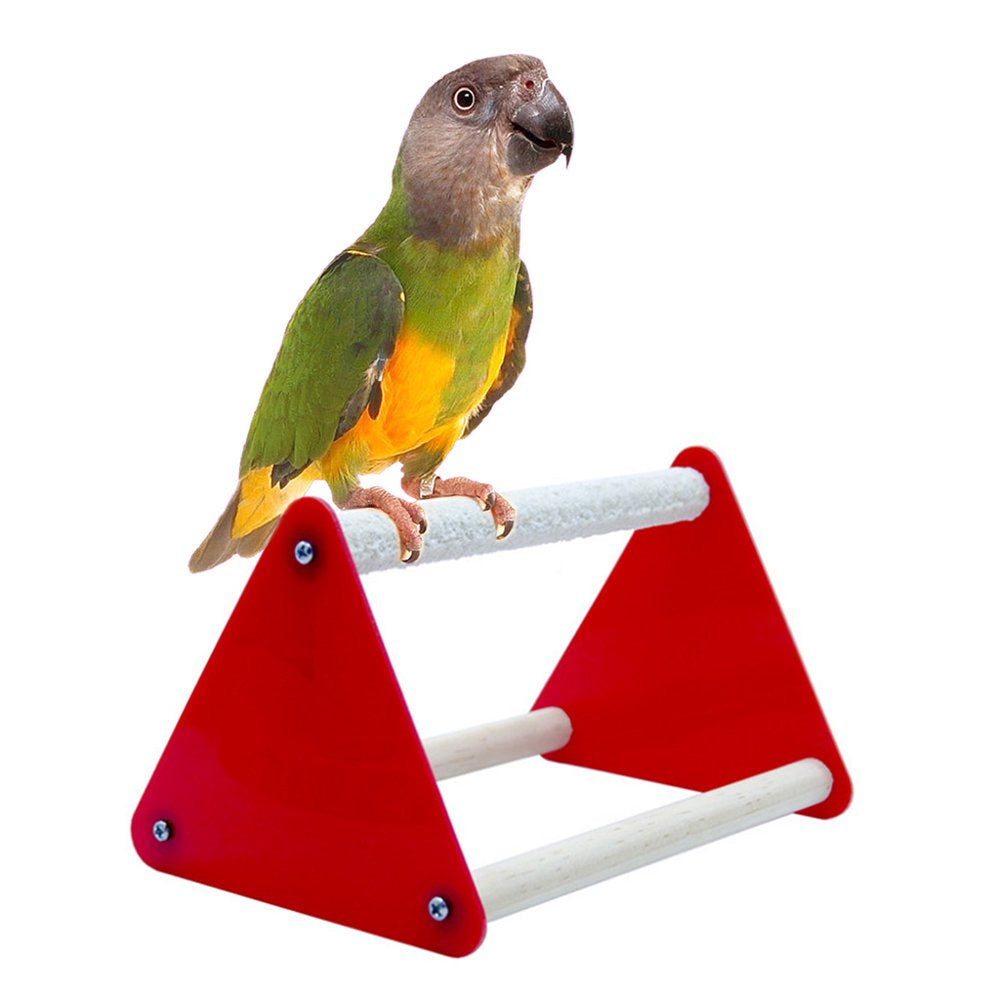 Parrot Perch for Small Birds Plastic Bars Ladder Training Stand Triangular Rack