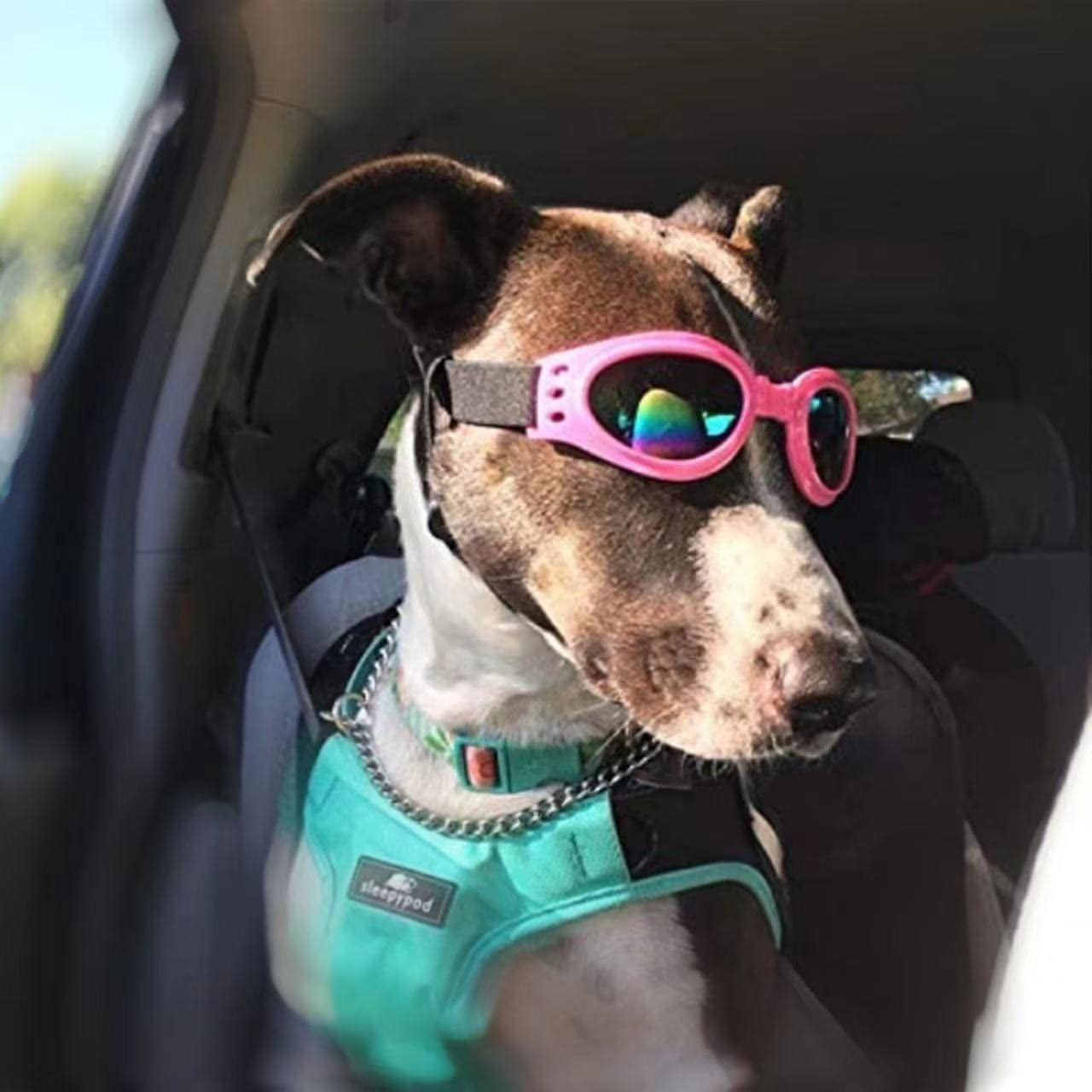 Dog Goggles Pet Sunglasses Adjustable Foldable Eye Wear UV Protection Windproof Polarized Sunglasses for Dogs about over 15 Lbs (Black + Pink) Animals & Pet Supplies > Pet Supplies > Dog Supplies > Dog Apparel COSOC   