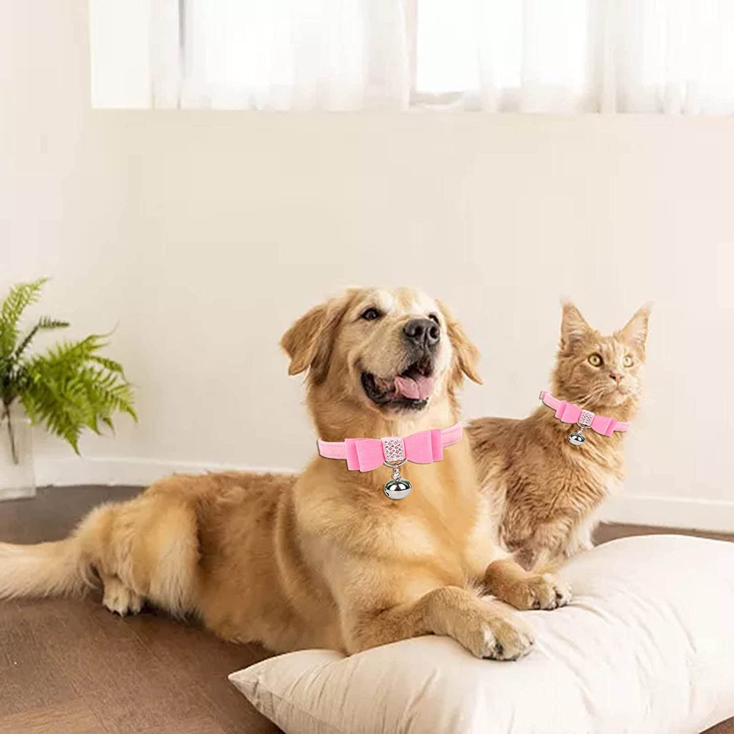 Jmmslmax Valentine'S Day Cat Collar Breakaway with Cute Bow Tie and Bell for Kitty Adjustable Love Heart Rhinestone Dog Collar Cat Animals & Pet Supplies > Pet Supplies > Dog Supplies > Dog Apparel JMMSlmax   