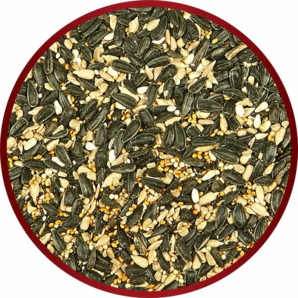 Kaytee Midwest Regional Blend, Wild Bird Feed and Seed, 7 Lbs. Animals & Pet Supplies > Pet Supplies > Bird Supplies > Bird Food CENTRAL GARDEN & PET COMPANY   