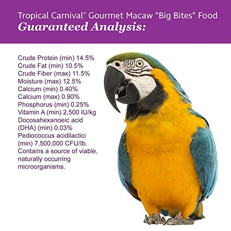 F.M. Brown'S Tropical Carnival Gourmet Macaw Food Big Bites for Big Beaks, 14-Lb Bag - Vitamin-Nutrient Fortified Daily Diet with Probiotics for Digestive Health Animals & Pet Supplies > Pet Supplies > Small Animal Supplies > Small Animal Food N/A   