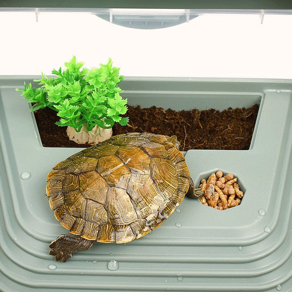 CHAOMA Reptile Habitat for Turtle for Tank Plastic Aquarium Amphibian Pet Terrarium Ant