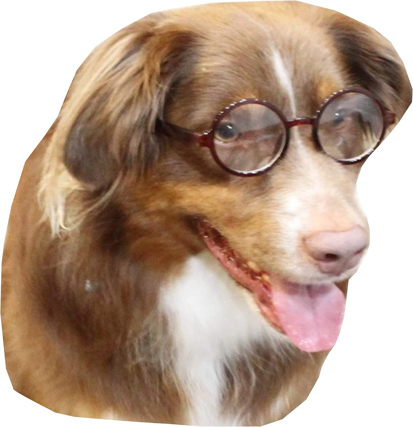 G003 Dog Pet round Costume Prop Glasses Sunglasses Medium Breeds 18-40Lbs (Round Black-Clear Lens) Animals & Pet Supplies > Pet Supplies > Dog Supplies > Dog Apparel Style Vault Round Brown-clear lens  