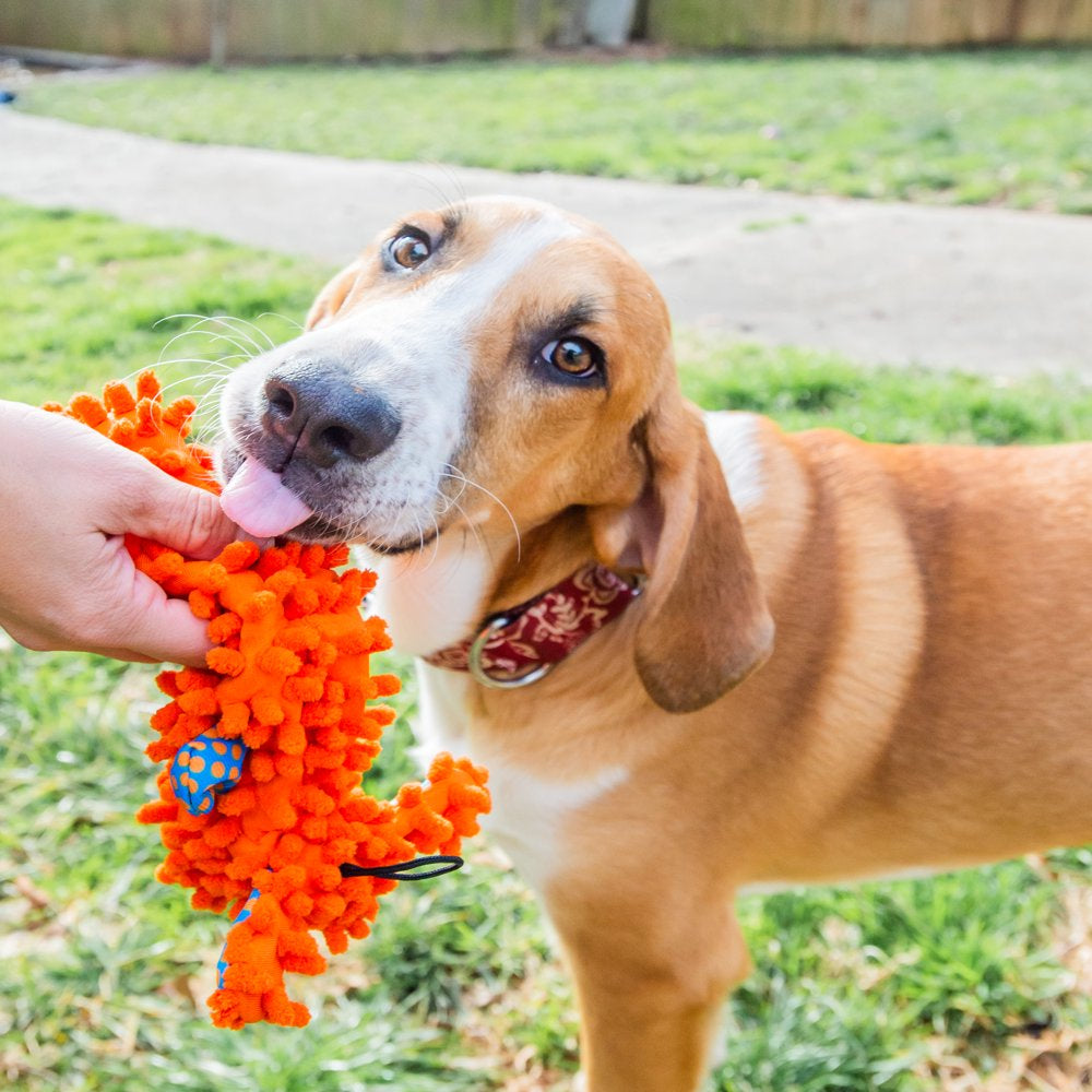 Multipet Stuffing Free Floppy Moppy Loofa Plush Dog Toy, 12", Color May Vary Animals & Pet Supplies > Pet Supplies > Dog Supplies > Dog Toys Multipet International   