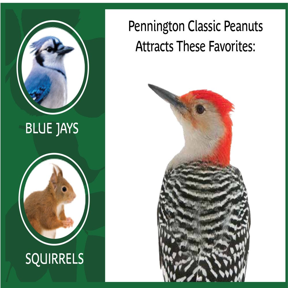 Pennington Shelled Peanuts Wildlife and Wild Bird Food, 5 Lb. Bag Animals & Pet Supplies > Pet Supplies > Bird Supplies > Bird Food CENTRAL GARDEN & PET COMPANY   