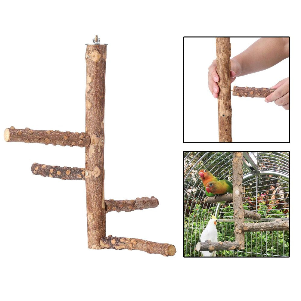 Bird Perch Nature Wood Branches Stand Toys in Bird Cage for 3 or 4 Small Medium Parrots Budgies Parakeet Cockatiels Lovebirds - M 10X25Cm Animals & Pet Supplies > Pet Supplies > Bird Supplies > Bird Cages & Stands Gazechimp   