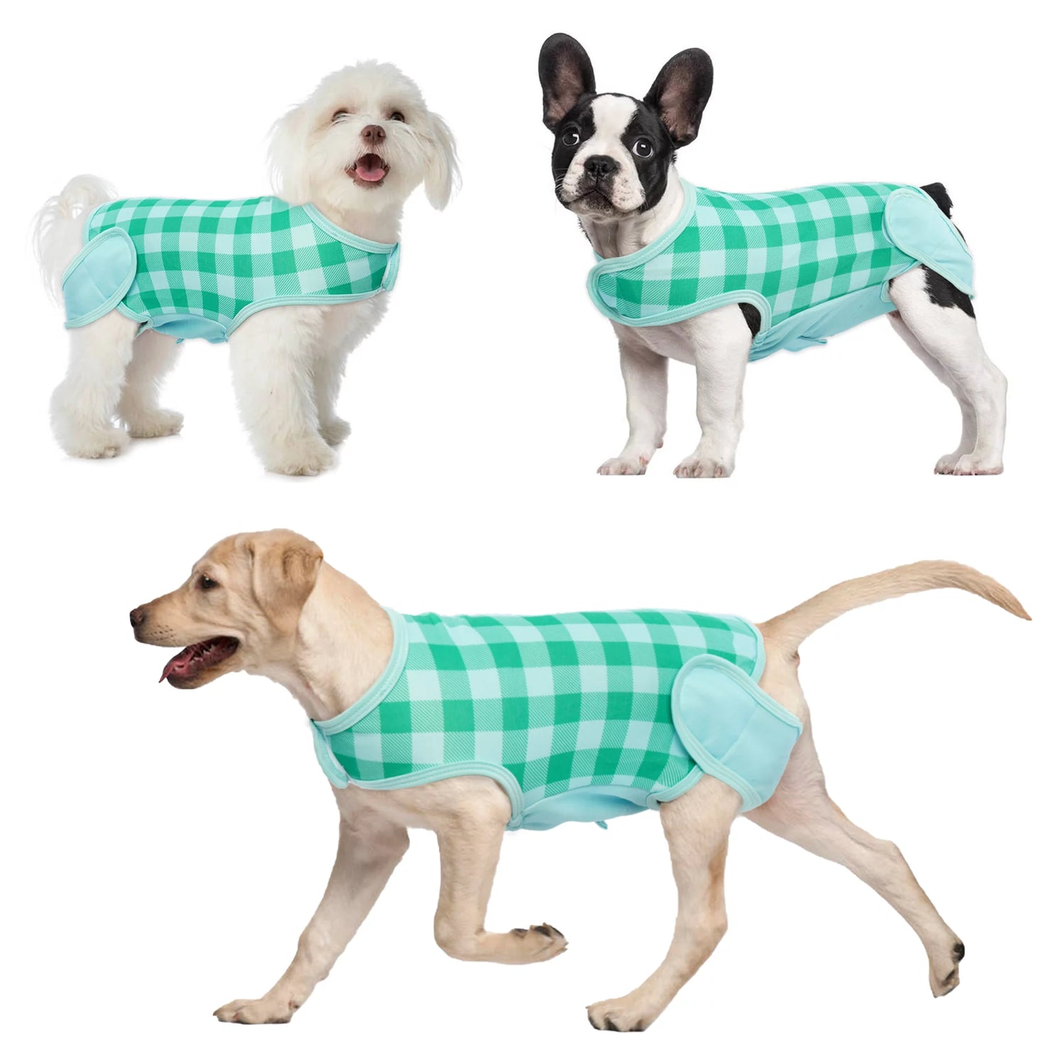 IDOMIK Dog Surgery Recovery Suit, Dog Onesie Recovery Suit after Surgery, Breathable Abdominal Wound Skin Diseases Protector, Cone Collar Alternative, Pet Dog Recovery Shirt Animals & Pet Supplies > Pet Supplies > Dog Supplies > Dog Apparel IDOMIK S Green 