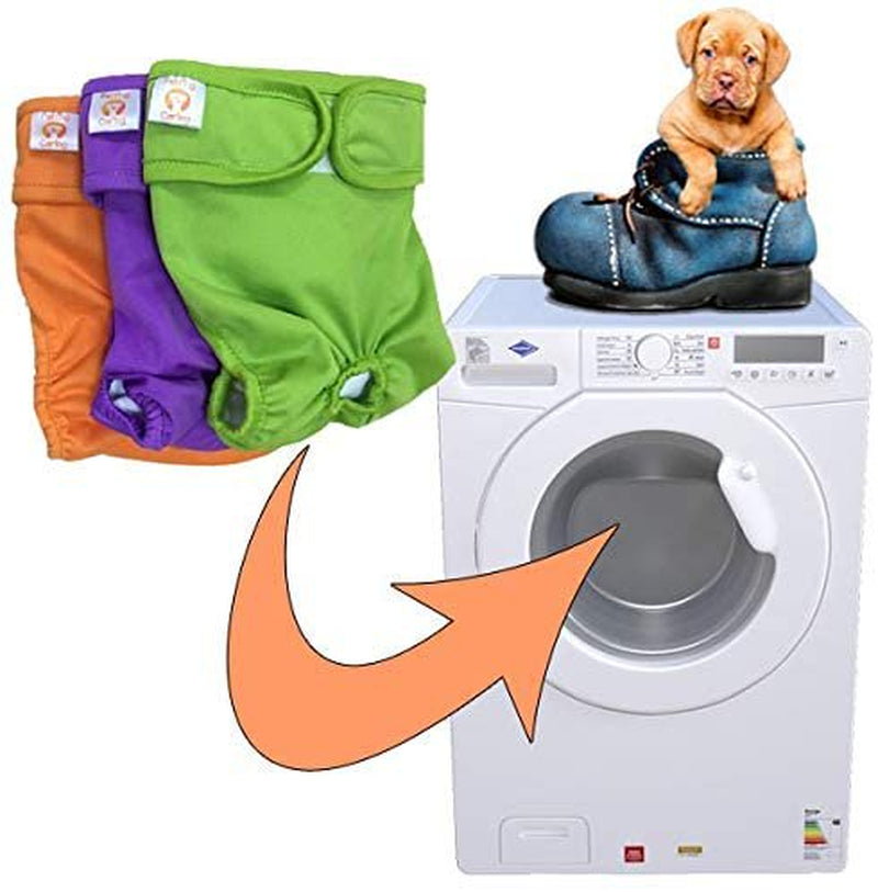 Dog Diapers Washable & Reusable Female and Male Dog Diapers Materials Durable Machine Washable Solution for Pet Incontinence and Long Travels - 3 Pack Set (M, New) Animals & Pet Supplies > Pet Supplies > Dog Supplies > Dog Diaper Pads & Liners Home Décor   