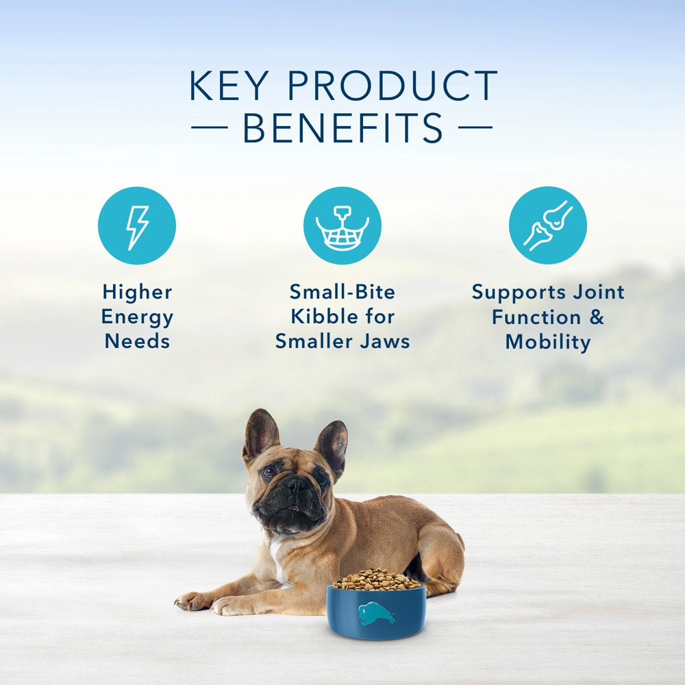 Blue Buffalo Life Protection Formula Small Breed Chicken and Brown Rice Dry Dog Food for Adult Dogs, Whole Grain, 5 Lb. Bag Animals & Pet Supplies > Pet Supplies > Small Animal Supplies > Small Animal Food Blue Buffalo   