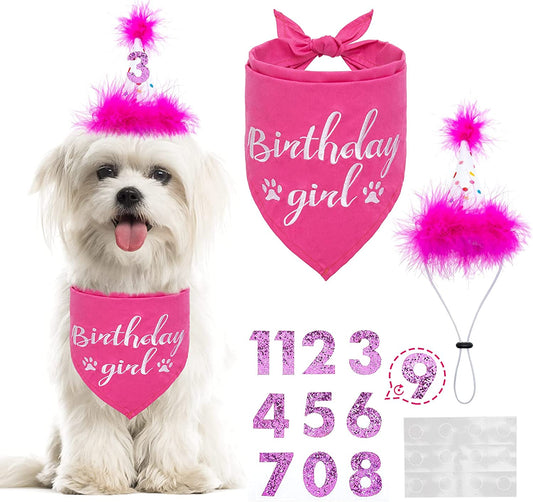 BINGPET Dog Birthday Bandana Girl Scarf and Reusable Dog Birthday Hat with 0-8 Figures