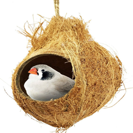 872 Coconut Hut Nesting Bird Toy Animals & Pet Supplies > Pet Supplies > Bird Supplies > Bird Toys Bonka Bird Toys   