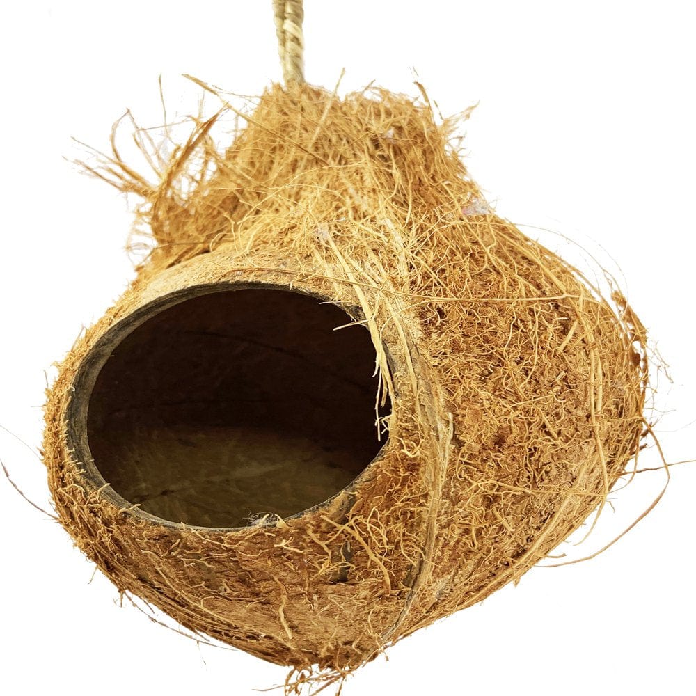 872 Coconut Hut Nesting Bird Toy Animals & Pet Supplies > Pet Supplies > Bird Supplies > Bird Toys Bonka Bird Toys   