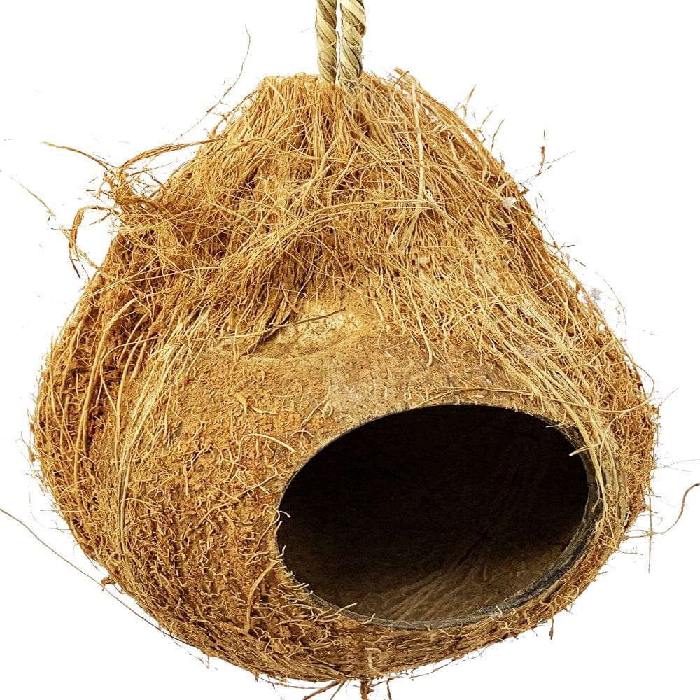 872 Coconut Hut Nesting Bird Toy Animals & Pet Supplies > Pet Supplies > Bird Supplies > Bird Toys Bonka Bird Toys   