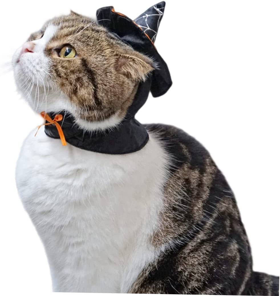 Witch Hat for Cats