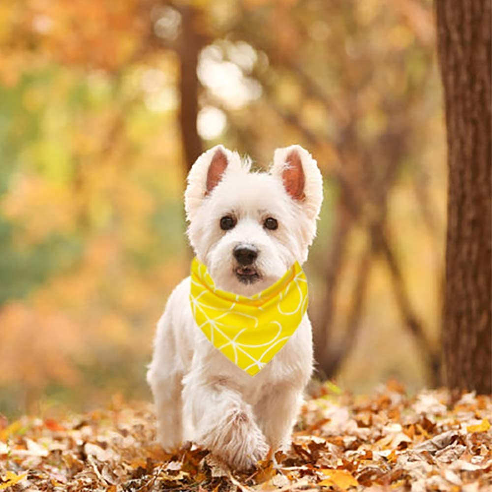 Dog Bandanas – 3 Pcs Washable and Reversible Triangle Bibs Scarfs, Multi Coloured Neckerchief Kerchief for Small&Medium&Large Pet Dogs Cats Animals & Pet Supplies > Pet Supplies > Dog Supplies > Dog Apparel CAROLLIFE   