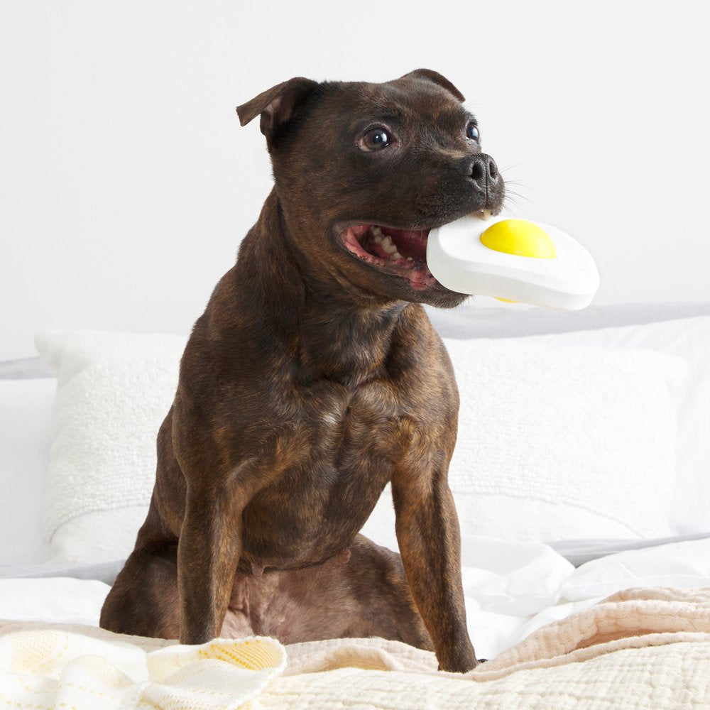 BARK Egg over Hard Dog Toy, White & Yellow - Barkfest in Bed