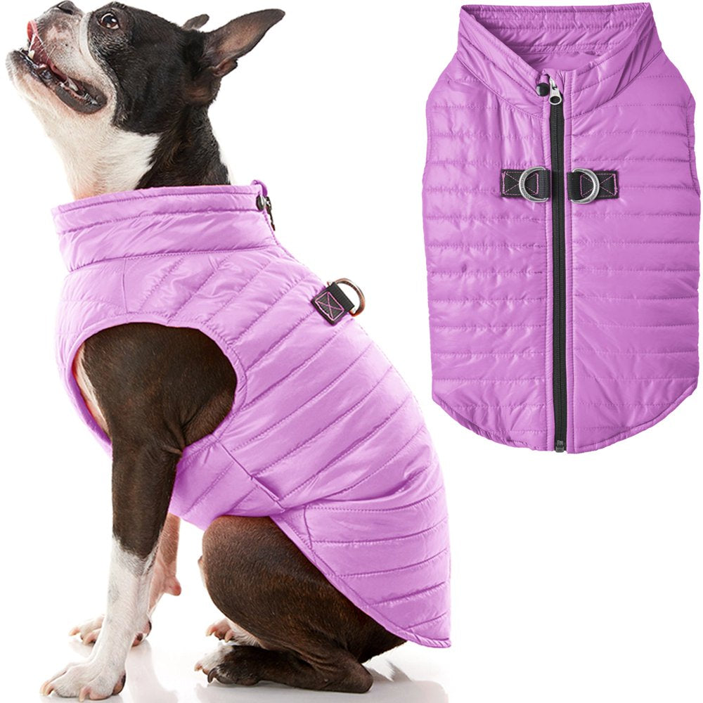 Gooby Puffer Vest Dog Jacket - Blue, Large - Ultra Thin Zip up Wind Breaker with Dual D Ring Leash Water Resistant Small Dog Sweater Animals & Pet Supplies > Pet Supplies > Dog Supplies > Dog Apparel Gooby Small Chest (~15") Purple 