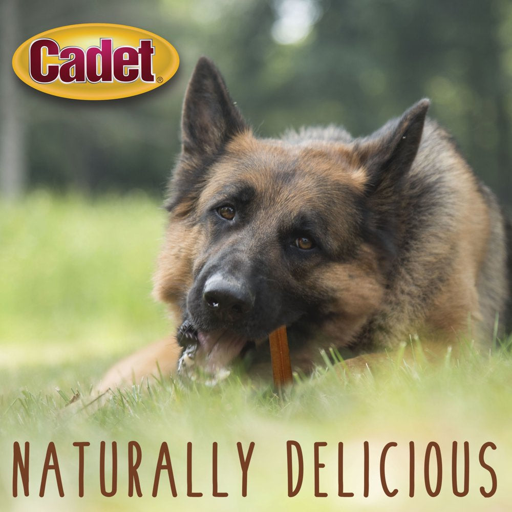 Cadet Bully Sticks Dog Treats 5.2 Oz. Value Pack Animals & Pet Supplies > Pet Supplies > Dog Supplies > Dog Treats Central Garden and Pet   