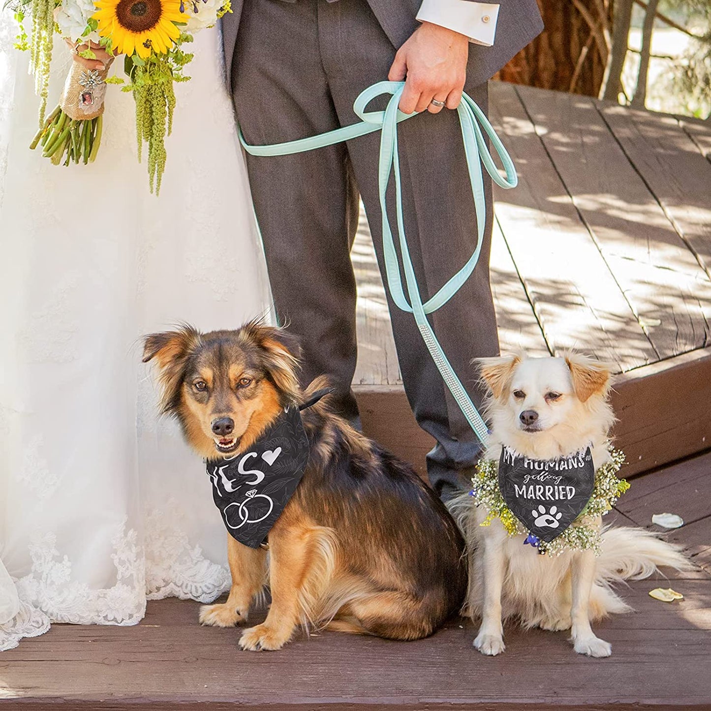 My Humans Are Getting Married She Said Yes Wedding Dog Bandanas Scarf for Bridal Party Engagement Gift Announcement Wedding Photo Prop, 2 Pack Animals & Pet Supplies > Pet Supplies > Dog Supplies > Dog Apparel Retro Shaw   