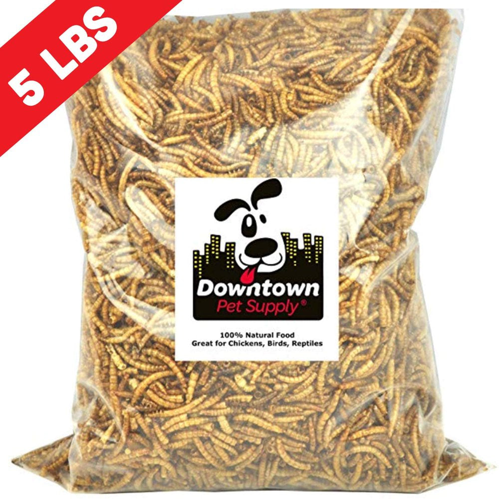 Downtown Pet Suppl Mealworms - Rich in Vitamin B12, B5, Protein, Fibre and Omega 3 Fatty Acids - Chicken, Duck and Bird Food - Reptile and Turtle Foo Animals & Pet Supplies > Pet Supplies > Bird Supplies > Bird Treats Downtown Pet Supply 5 lbs  