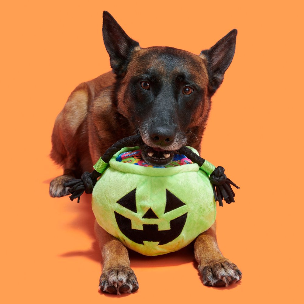 BARK Tricks & Treats Halloween Doggy Bag Dog Toy, Made with T-Shirt Rope, for All Sized Dogs Animals & Pet Supplies > Pet Supplies > Dog Supplies > Dog Toys BARK   