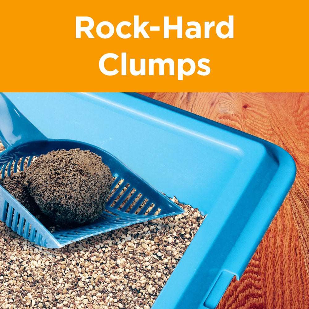 Arm Hammer Clump Seal Absorbx Clumping Cat Litter, Multicat Scented 15Lb Animals & Pet Supplies > Pet Supplies > Cat Supplies > Cat Litter Church & Dwight Co., Inc.   