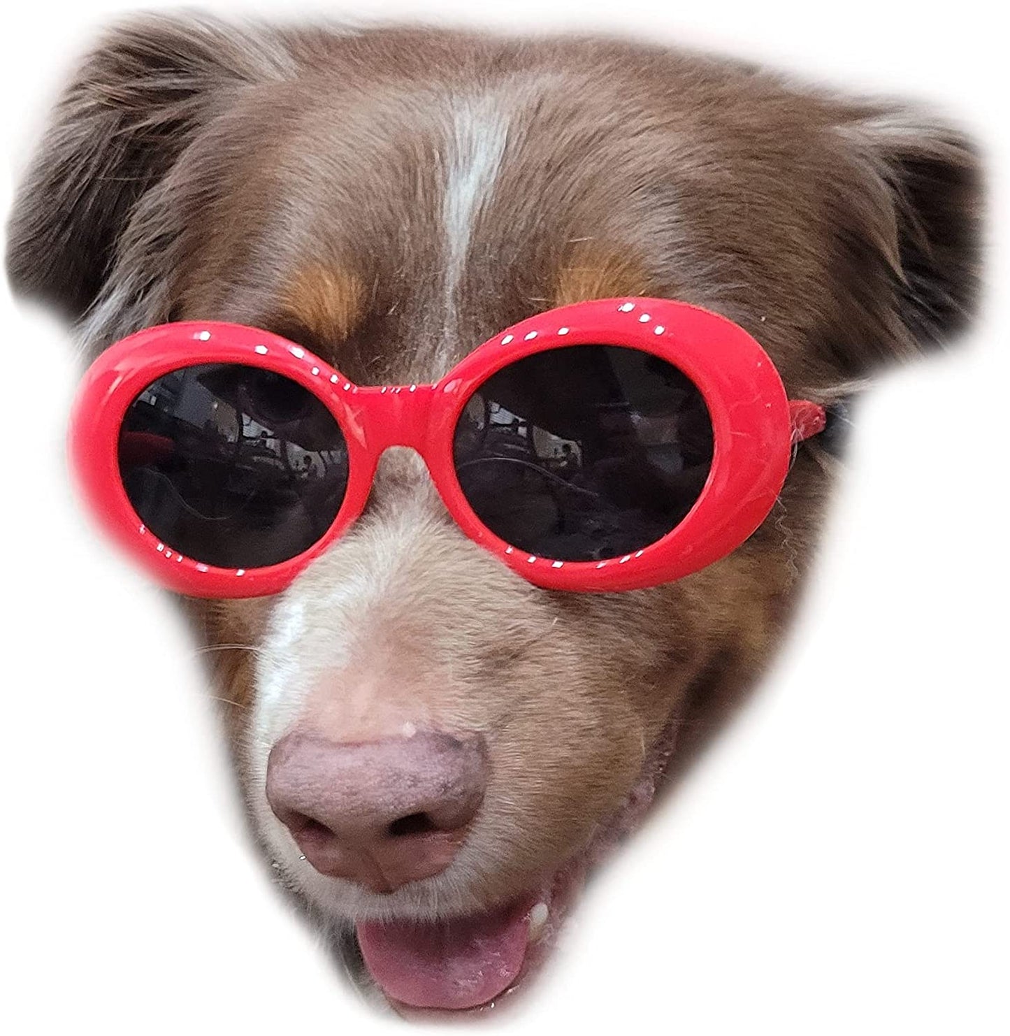 G026 Dog Pet Costume Prop Thick Oval Sunglasses Medium-Large Breeds 25-55Lbs (Red) Animals & Pet Supplies > Pet Supplies > Dog Supplies > Dog Apparel Style Vault Red  