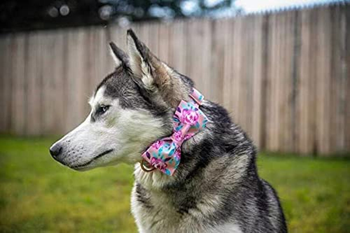 Lionheart Glory Floral Rose Print Dog Collar Adjustable Soft Dog Collar with Bowtie, Girl Pet Collars for X-Small Small Medium Large Dogs Animals & Pet Supplies > Pet Supplies > Dog Supplies > Dog Apparel Lionheart glory   