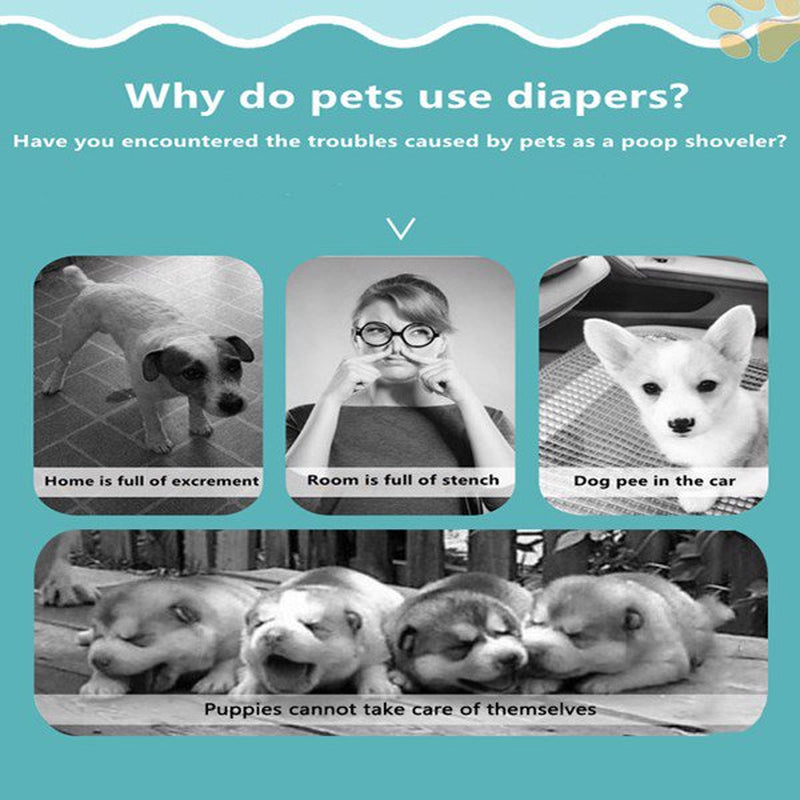 Dog Diaper Liners Booster Pads for Male and Female Dogs, Disposable Doggie Diaper Inserts Fit Most Reusable Pet Belly Bands, Cover Wraps, and Washable Period Panties Animals & Pet Supplies > Pet Supplies > Dog Supplies > Dog Diaper Pads & Liners HAYZURU   