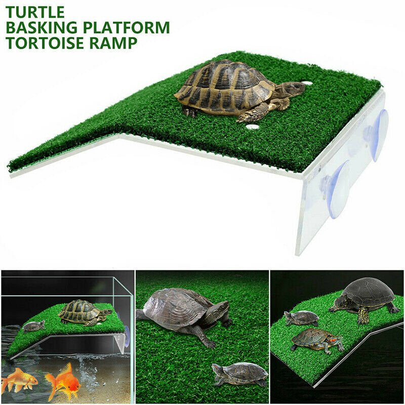 Turtle Basking Platform Large Tank Accessories Reptile Climbing Ladder Ramp Resting Terrace Gecko Turtle Deck Animals & Pet Supplies > Pet Supplies > Small Animal Supplies > Small Animal Habitat Accessories shanxilangushangmaoyouxiangongsi   