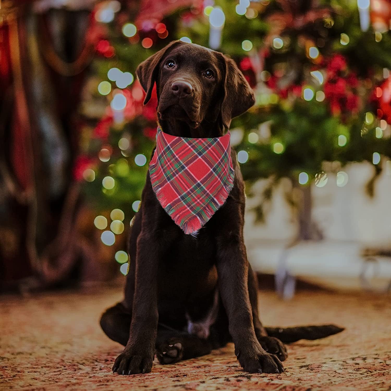 Adoggygo Christmas Dog Bandanas with Tassels Edges, Stylish Plaid Dog Christmas Scarf Bib, Multiple Sizes Offered, Plaid Bandanas for Medium Large Dogs (Large, Red & Green) Animals & Pet Supplies > Pet Supplies > Dog Supplies > Dog Apparel ADOGGYGO   