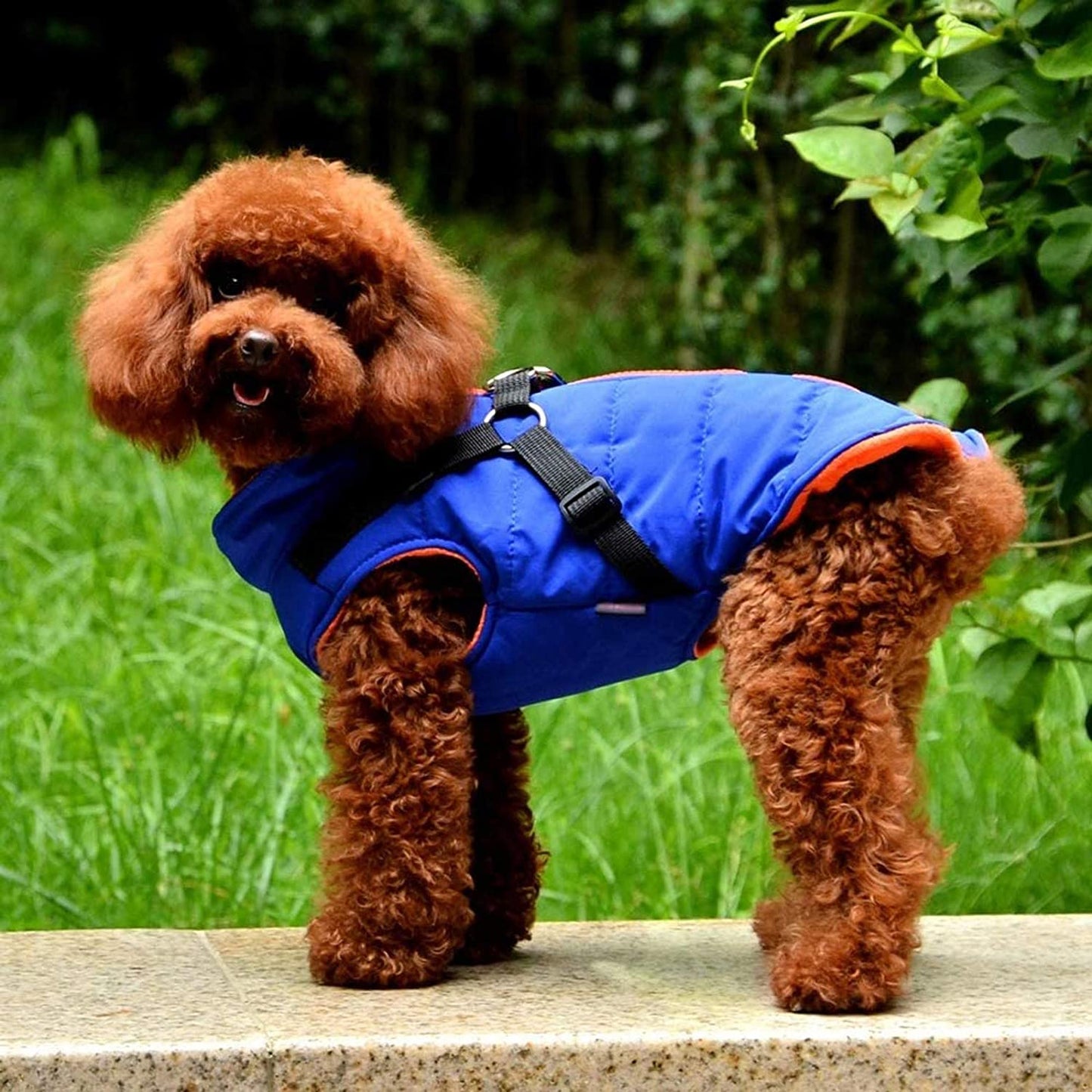 Dog Ostume Pet Cold Weather Dog Coat Warm Winter Dog Clothes Jacket Windproof Pet Clothes Animals & Pet Supplies > Pet Supplies > Dog Supplies > Dog Apparel HonpraD   