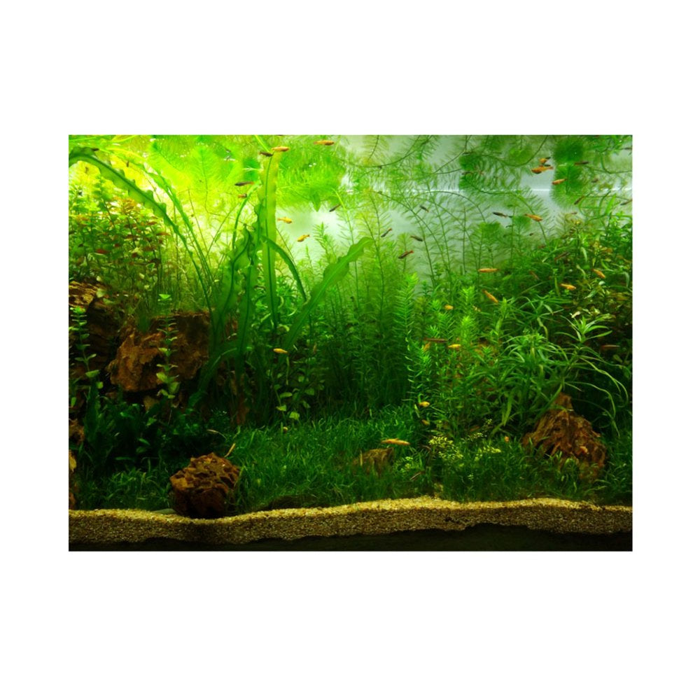 Garosa Fish Tank Decor Paper, Water Grass Style Aquarium Fish Tank