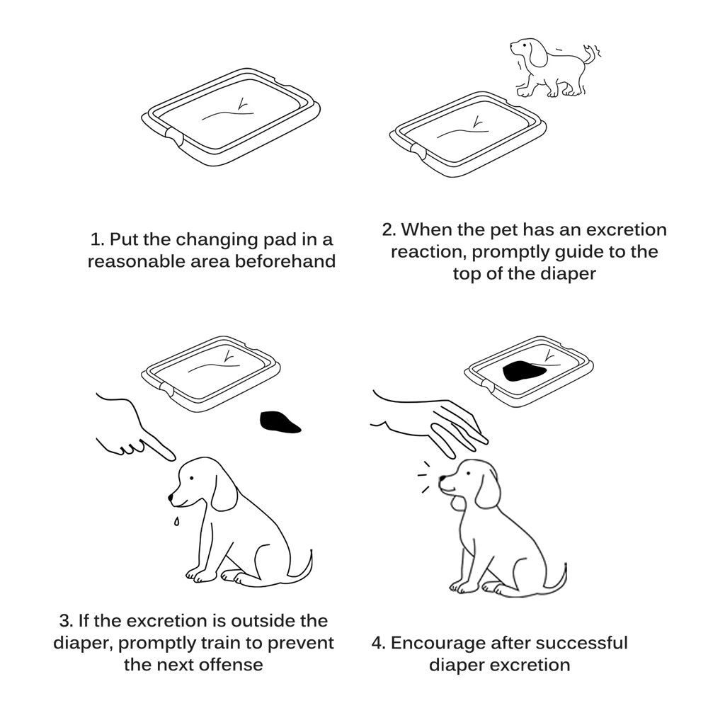 Puppy Potty Training Pet Pads Dog Diaper Disposable Super Absorbent and Leak-Free Pee Mat Quick Drying Cat Pee Pad Convenient Training Pet Mat for Dogs Cats Rabbits Pets Animals & Pet Supplies > Pet Supplies > Dog Supplies > Dog Diaper Pads & Liners Dog Pee Pad   