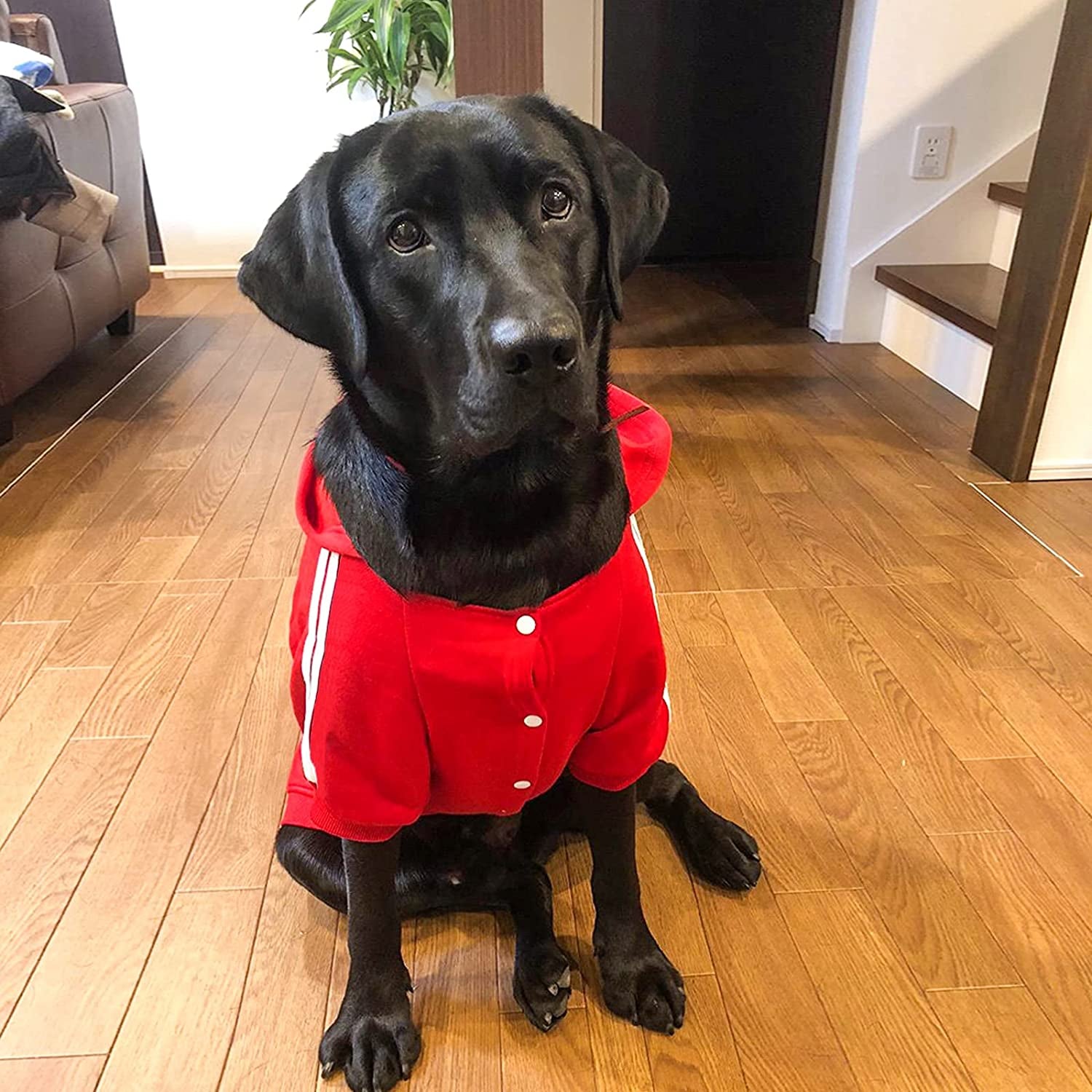 PETLESO Dog Sweater for Large Dog, Warm Cotton Hoodie Sweatshirt for Medium Large Dogs, Red 3XL Animals & Pet Supplies > Pet Supplies > Dog Supplies > Dog Apparel PETLESO   