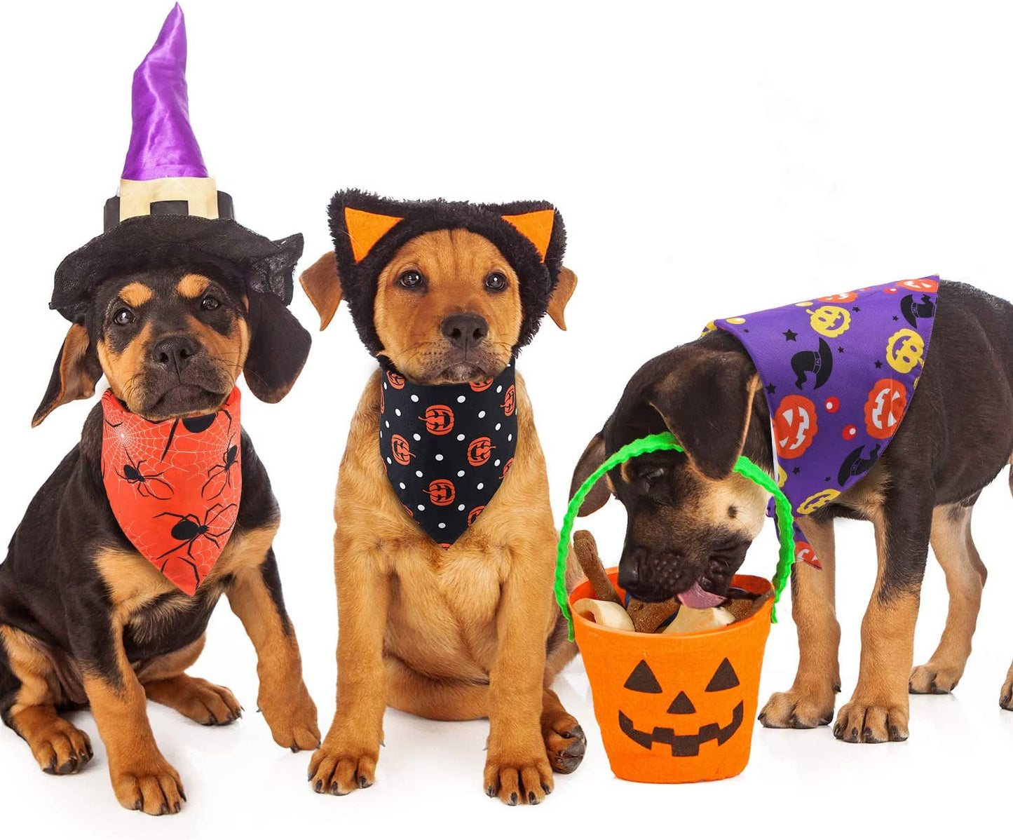 3 Pieces Pet Bandanas Halloween Dog Scarf Triangle Bandana Bibs with Pumpkin Spider Witch Hat Printed for Halloween Pet Costume Accessories Decoration Animals & Pet Supplies > Pet Supplies > Dog Supplies > Dog Apparel Frienda   