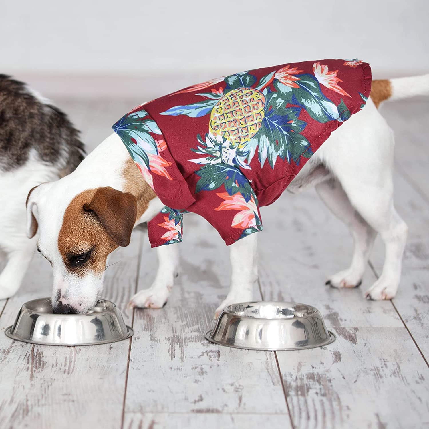 3 Pieces Hawaiian Dog Shirt with 3 Pieces Sunglasses Summer Breathable Sweatshirts Cool Coconut Tree Pineapple Pattern Pet T Shirts Puppy Clothes for Small Medium Large Dog Cat (Small) Animals & Pet Supplies > Pet Supplies > Dog Supplies > Dog Apparel Frienda   