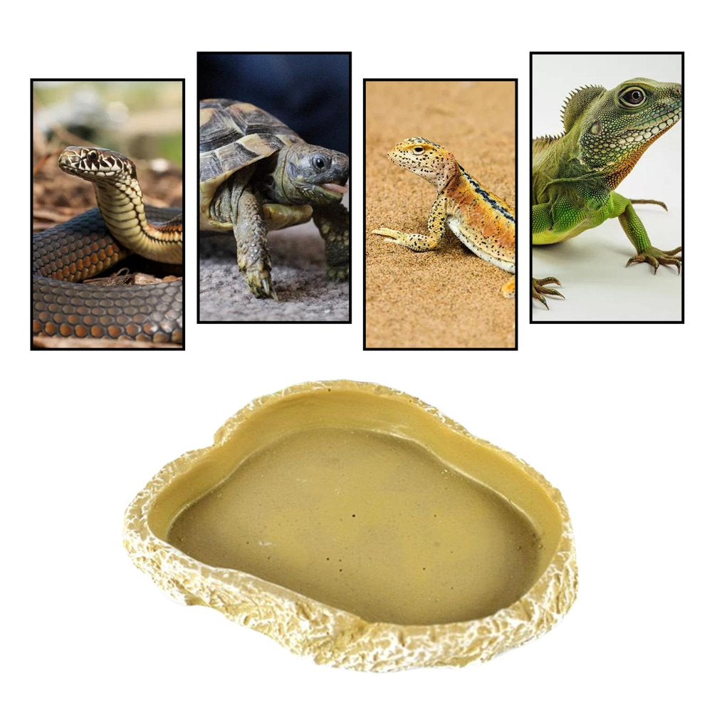 Amphibian Water Dish, Decor Terrarium Pets Worm Reptile Food Bowl Feeders Watering for Lizards, , Gecko, , Hermit Animals & Pet Supplies > Pet Supplies > Reptile & Amphibian Supplies > Reptile & Amphibian Food FITYLE   