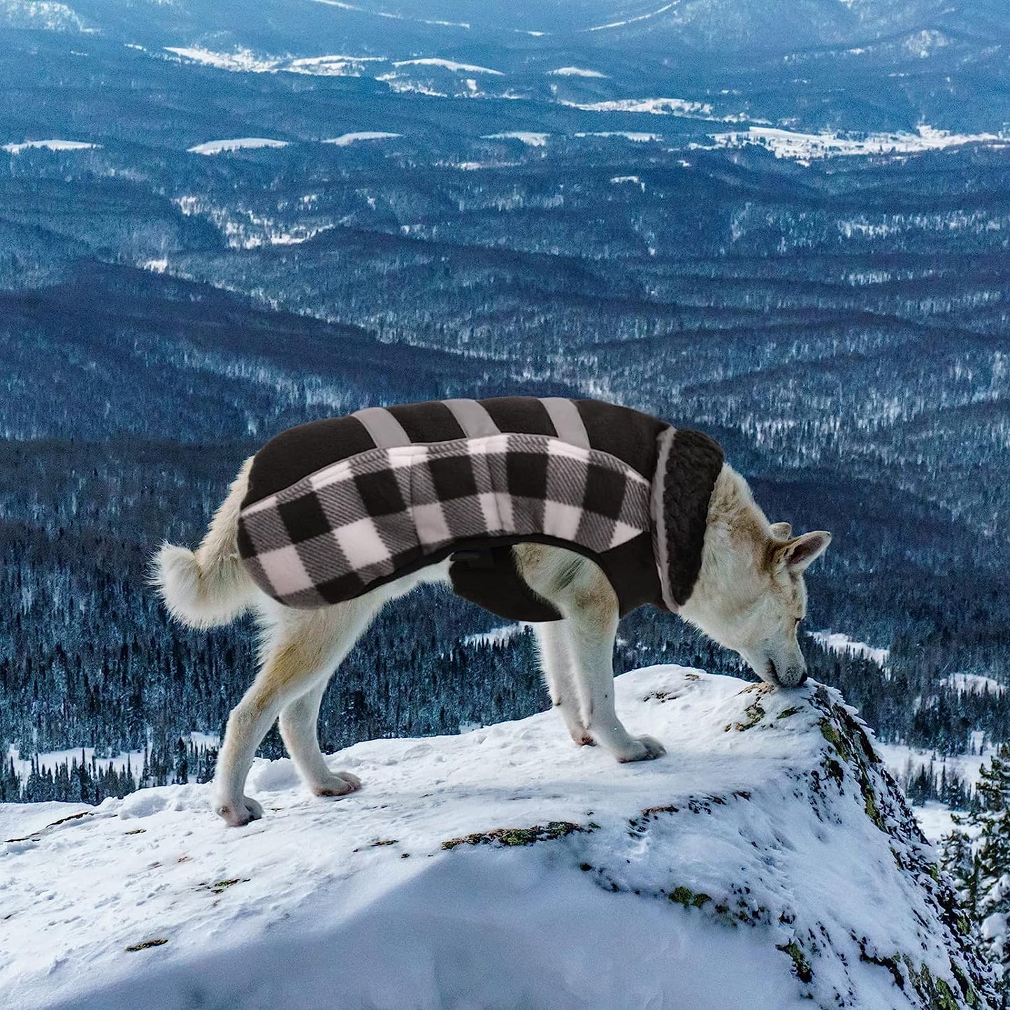 MAZORT Dog Winter Coat, Thick Warm Fleece Dog Jacket with Reflective Strips, Plaid Pet Cold Weather Apparel Clothes for Small Medium Large Dogs (White, Medium) Animals & Pet Supplies > Pet Supplies > Dog Supplies > Dog Apparel MAZORT   