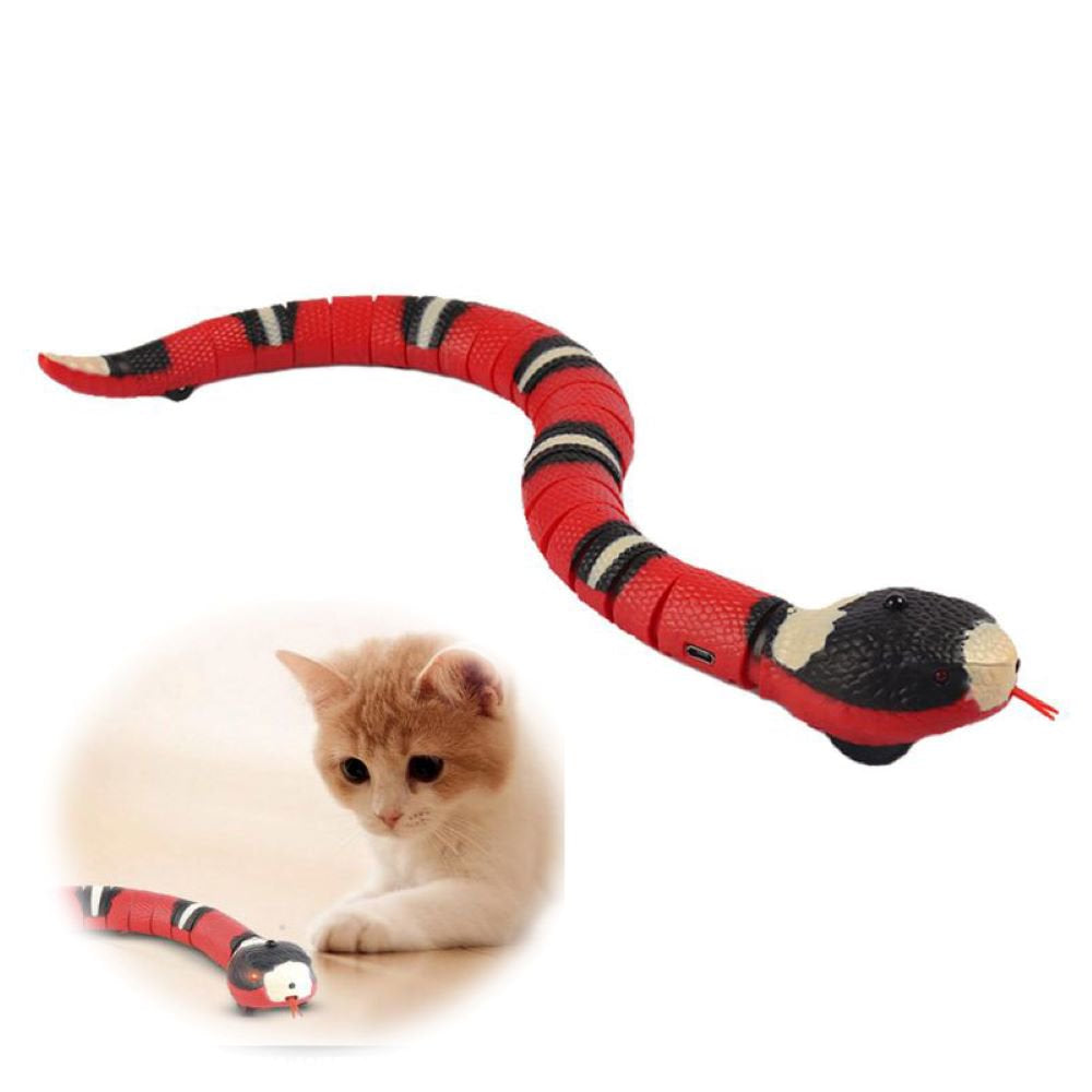 Electric Snake Cat Toys,Daxin USB Realistic Simulation Smart Sensing Snake Cat Interactive Toys Halloween Prank Props Animals & Pet Supplies > Pet Supplies > Cat Supplies > Cat Toys ZukVape   