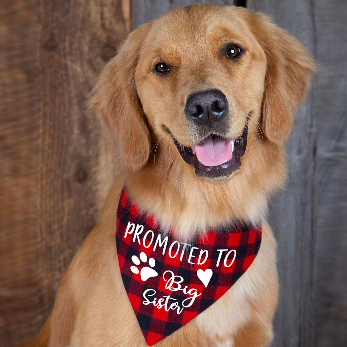 YROVWENQ Family Kitchen Promoted to Big Sister Red Plaid Dog Bandana, Gender Reveal Photo Prop Triangle Pet Scarf Scarves Decorations Accessories, Pet Scarves Dog Lovers Owner Gift Animals & Pet Supplies > Pet Supplies > Dog Supplies > Dog Apparel family Kitchen   