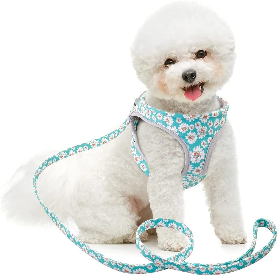 SXNBH Reflective Dog Harness Soft Mesh Pet Puppy Harness Leash Set Fashion Printed Small Medium Dogs Vest Harnesses French Bulldog ( Color : E , Size : Small ) Animals & Pet Supplies > Pet Supplies > Dog Supplies > Dog Apparel chuju D L 