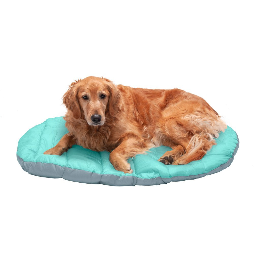 Furhaven Pet Dog Bed, Trail Pup Packable Stuff Sack Travel Pillow Bed with Bag for Dogs & Cats, Aqua & Granite Gray, Large Animals & Pet Supplies > Pet Supplies > Cat Supplies > Cat Beds FurHaven Pet   