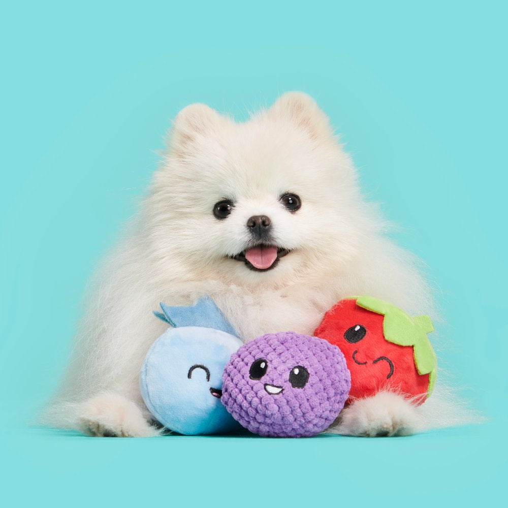 BARK Wild Berry Bunch Dog Toy Multi-Pack - Features 3 Toys with Squeakers