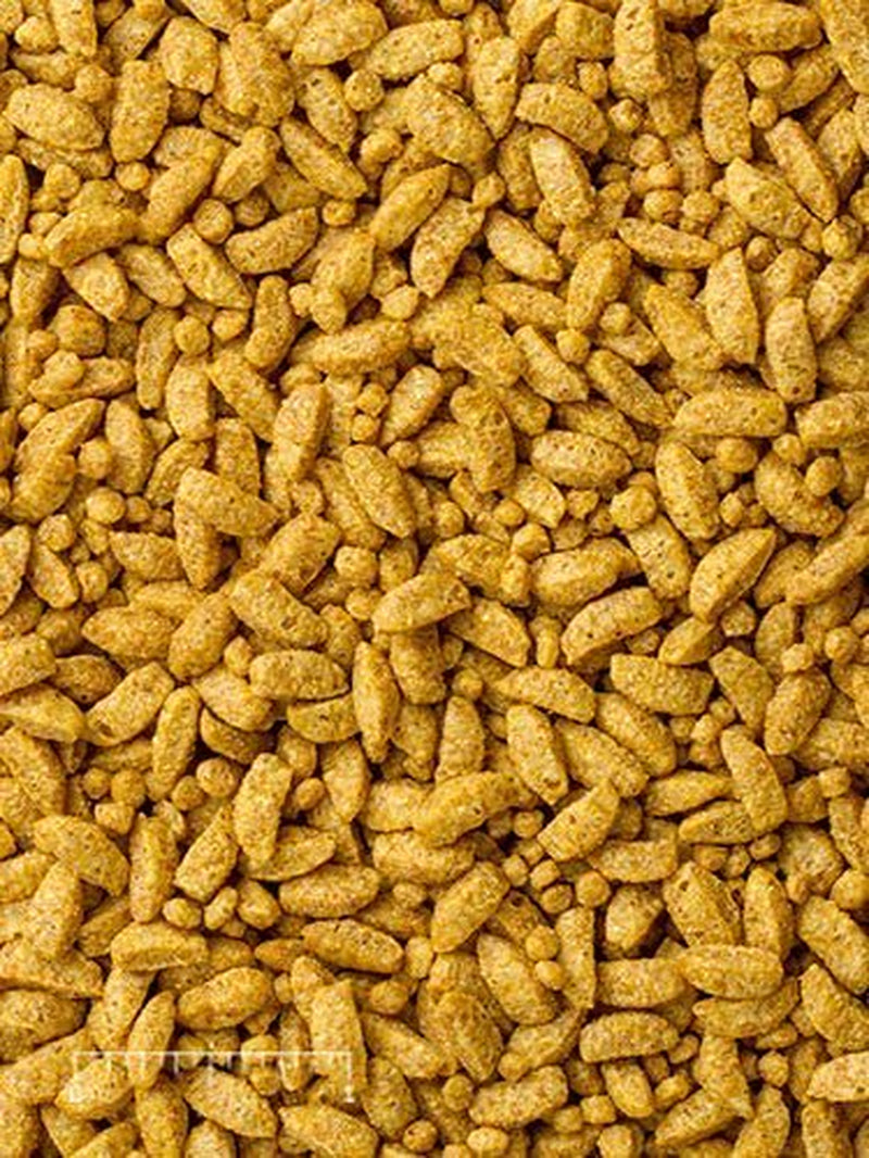 Mazuri Small Bird Food Animals & Pet Supplies > Pet Supplies > Bird Supplies > Bird Food Mazuri   