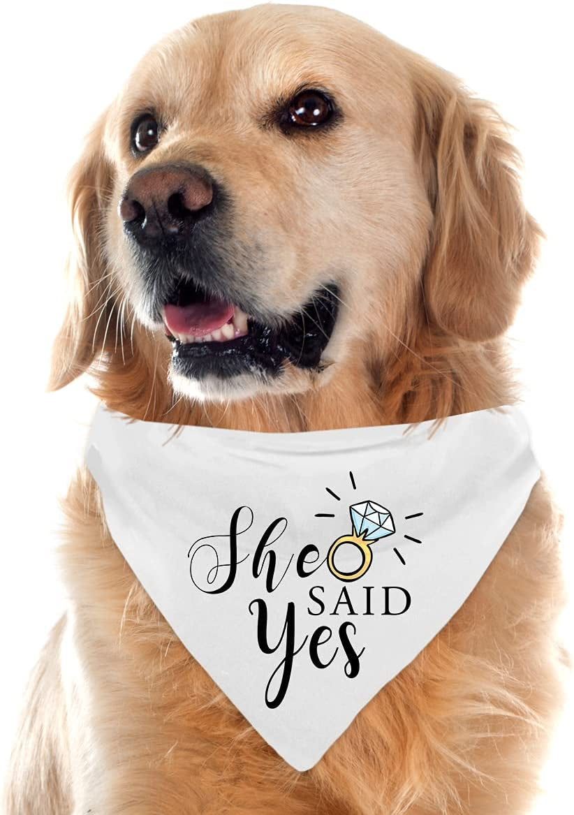 My Humans Are Getting Married She Said Yes Dog Bandana, Wedding Engagement Photos, Pet Scarf Accessories,Pet Accessories for Dog Lovers, Bridal Shower Gift, Pack of 2 Animals & Pet Supplies > Pet Supplies > Dog Supplies > Dog Apparel Yangmics Direct   