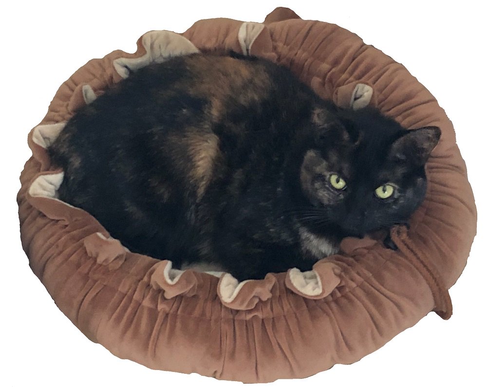 PADD Pet Bed Pad and Mat for Dog and Cat (30 Inches, Brown) Animals & Pet Supplies > Pet Supplies > Cat Supplies > Cat Beds PADD   