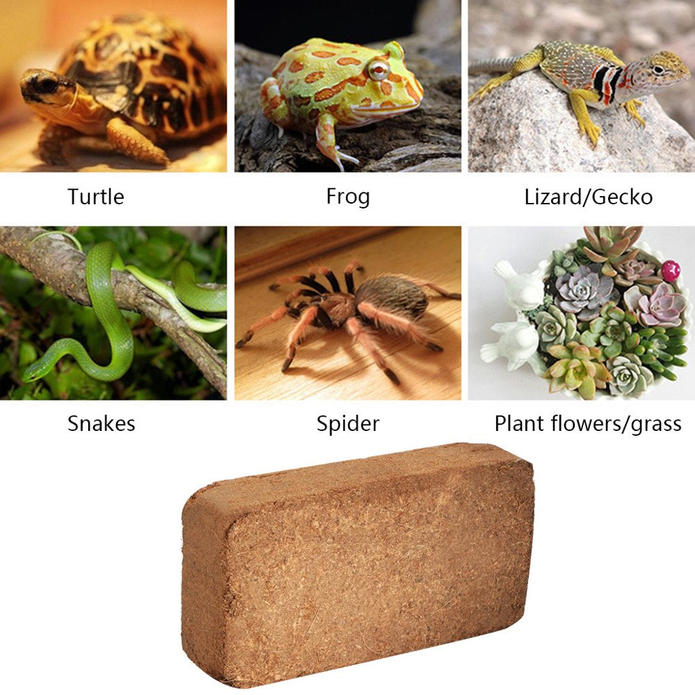 Tortoise Substrate Coconut Coir Reptile Bedding for Ball Pythons Boas Lizards Iguanas Geckos Amphibians Terrarium for Ta Animals & Pet Supplies > Pet Supplies > Reptile & Amphibian Supplies > Reptile & Amphibian Substrates HOMSOM   